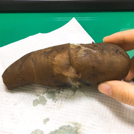 裡面全白的！網友買地瓜「咬下去像白蘿蔔」味道超怪異　內行人秒認出：「超值錢的」