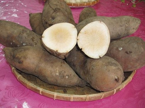 裡面全白的！網友買地瓜「咬下去像白蘿蔔」味道超怪異　內行人秒認出：「超值錢的」