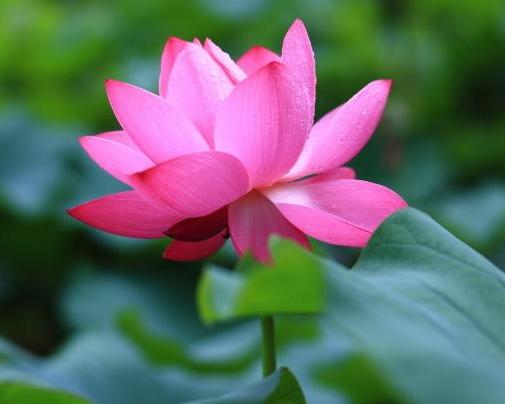 越老越有錢花！「老來富貴」的六大生肖　晚年生活幸福無憂