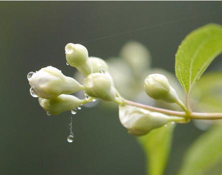 越老越有錢花！「老來富貴」的六大生肖　晚年生活幸福無憂