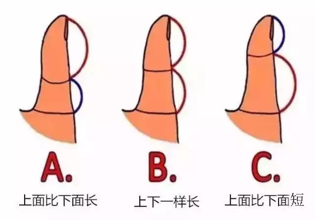 從你的大拇指，看出「你老了以後」的家庭地位！
