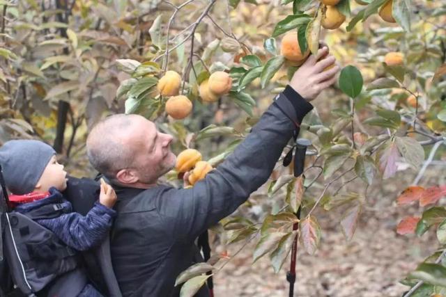 德國老公改造荒廢20年老宅　保留傳統紅磚古厝「一家四口遠離電子產品」　孩子「回歸大自然」與動植物為伍 