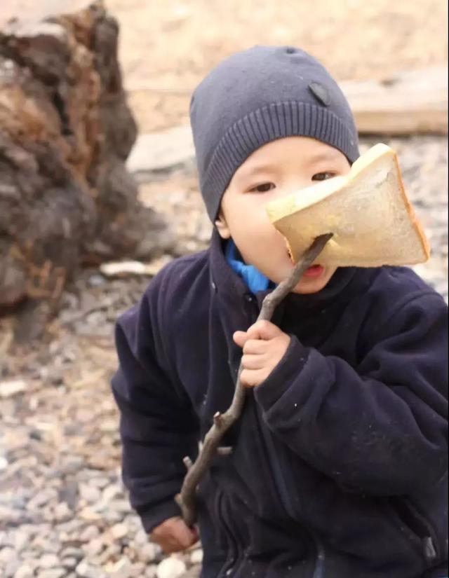 德國老公改造荒廢20年老宅　保留傳統紅磚古厝「一家四口遠離電子產品」　孩子「回歸大自然」與動植物為伍 