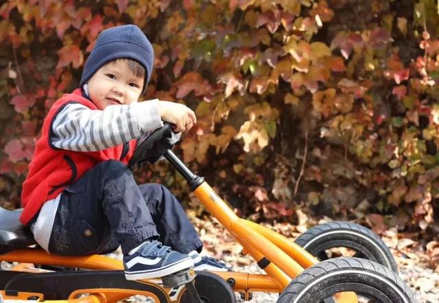 德國老公改造荒廢20年老宅　保留傳統紅磚古厝「一家四口遠離電子產品」　孩子「回歸大自然」與動植物為伍 