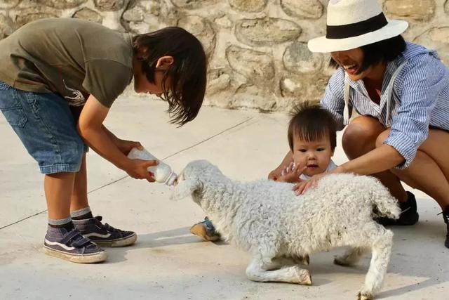 德國老公改造荒廢20年老宅　保留傳統紅磚古厝「一家四口遠離電子產品」　孩子「回歸大自然」與動植物為伍 