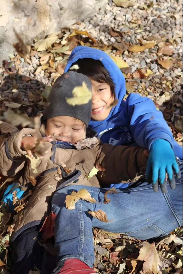 德國老公改造荒廢20年老宅　保留傳統紅磚古厝「一家四口遠離電子產品」　孩子「回歸大自然」與動植物為伍 