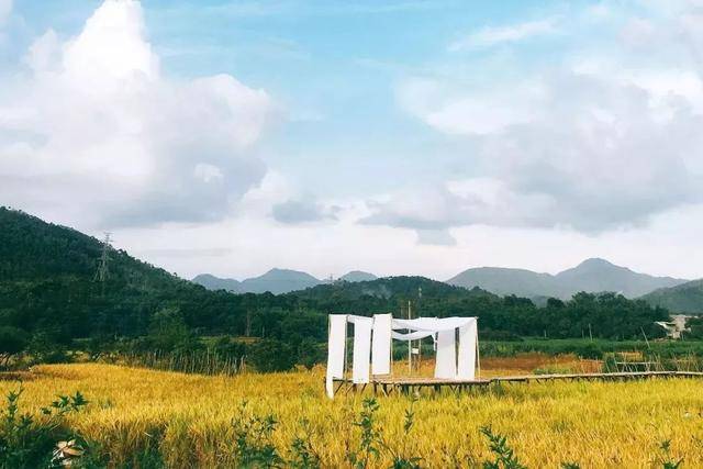 越來越多老人選擇「新型養老」：既不用去養老院，也不拖累子女