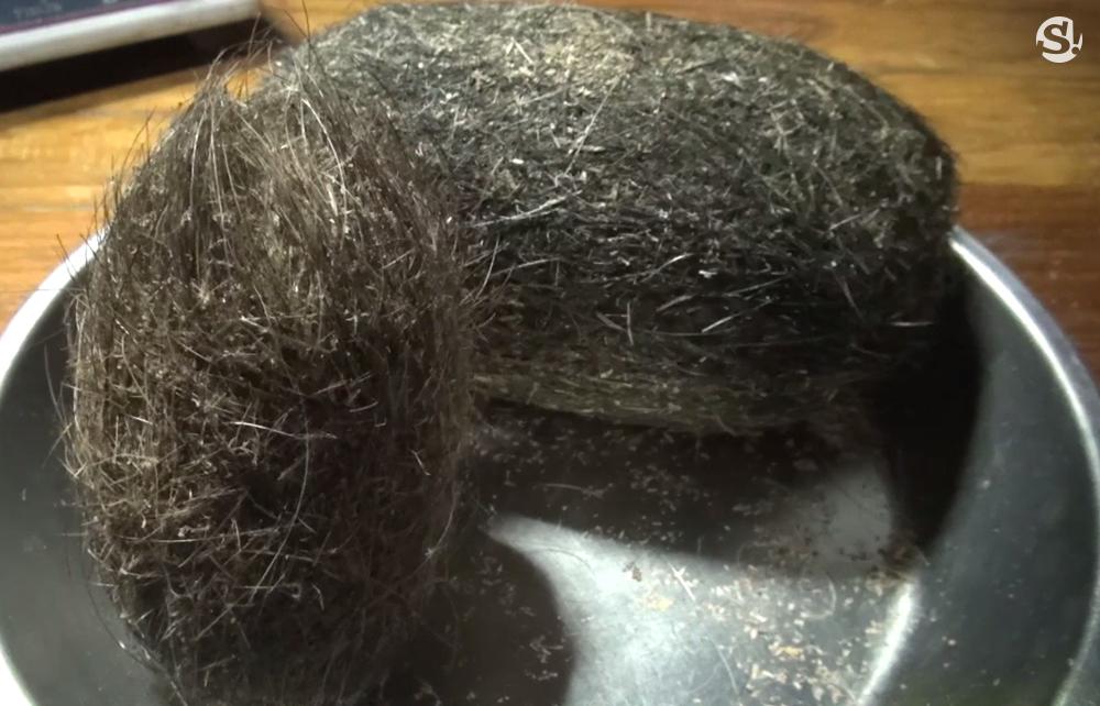 養豬養到發大財！母豬腹中驚見「2顆詭異毛蛋」　一查驚覺是「價值2000萬寶物」一夜致富