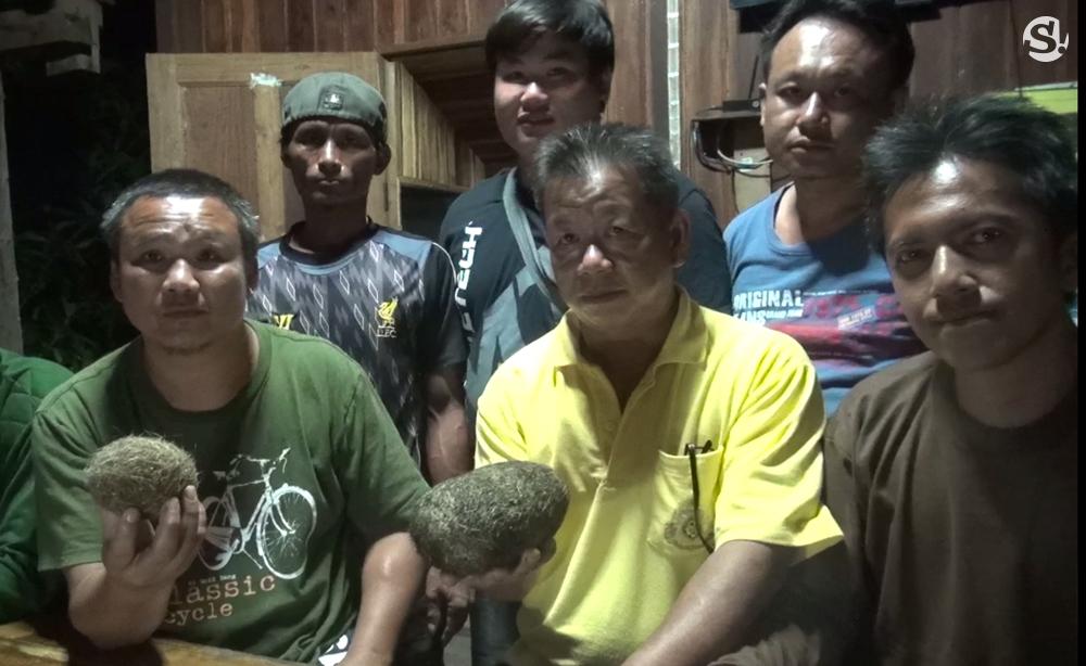 養豬養到發大財！母豬腹中驚見「2顆詭異毛蛋」　一查驚覺是「價值2000萬寶物」一夜致富