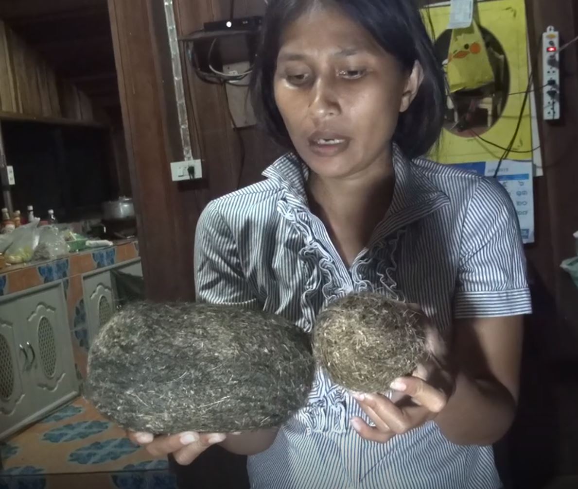 養豬養到發大財！母豬腹中驚見「2顆詭異毛蛋」　一查驚覺是「價值2000萬寶物」一夜致富