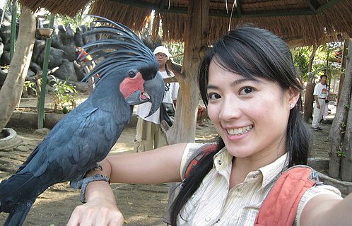 女星淚曝外景摔倒「尾椎撞成C型」被醫生告知難受孕 「結婚8年肚皮苦無動靜」人工受孕無效不領養