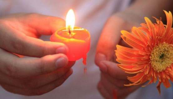 家中驚現「巨大褐色怪蟲」嚇壞！網友卻堅持「絕對不能打」  淚曝「親人回來了」看一眼解思念