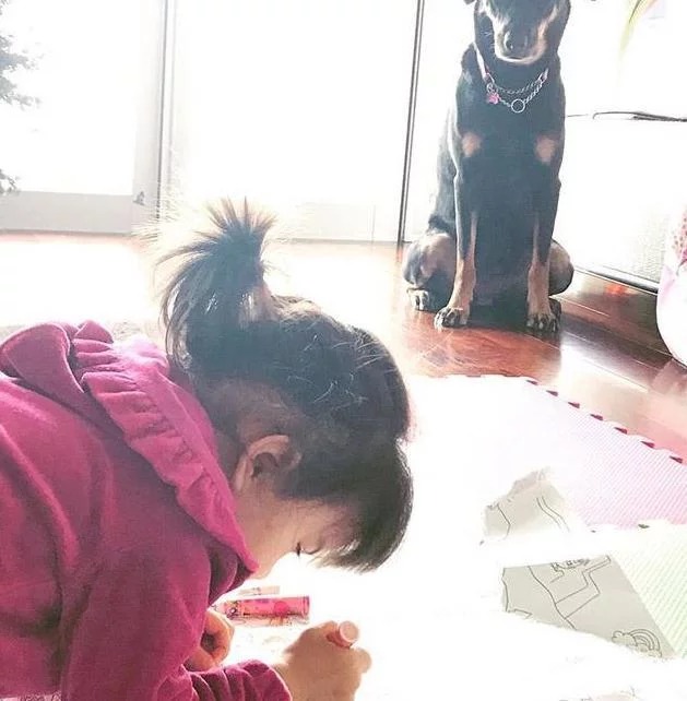 梁詠琪豪宅曝光！「裝修造價起碼過百萬」時尚奢華 　「超大私人花園種滿蔬菜」堪比農場