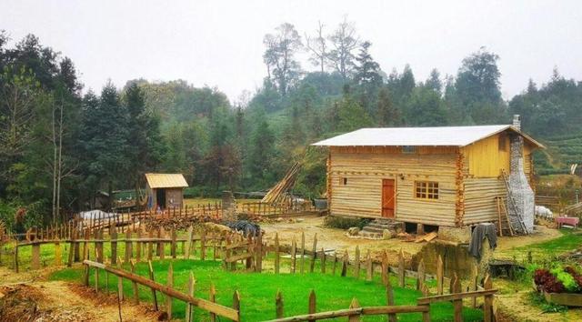 40歲姑娘「失戀後隱居深山」打造個人農莊　「種菜種花自給自足」：一個人活得更精彩