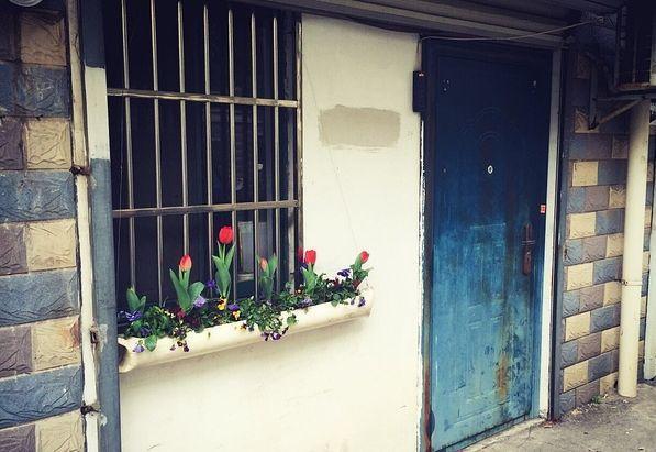 40歲姑娘「失戀後隱居深山」打造個人農莊　「種菜種花自給自足」：一個人活得更精彩