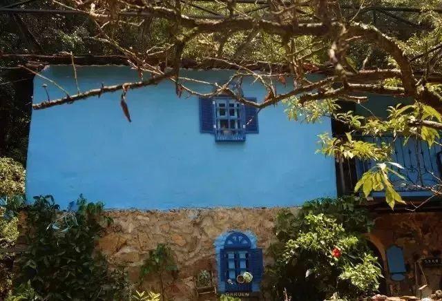 40歲姑娘「失戀後隱居深山」打造個人農莊　「種菜種花自給自足」：一個人活得更精彩