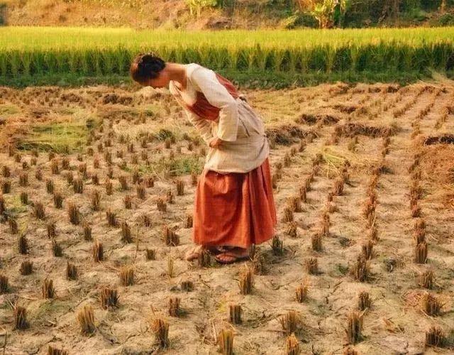 40歲姑娘「失戀後隱居深山」打造個人農莊　「種菜種花自給自足」：一個人活得更精彩