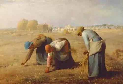 40歲姑娘「失戀後隱居深山」打造個人農莊　「種菜種花自給自足」：一個人活得更精彩