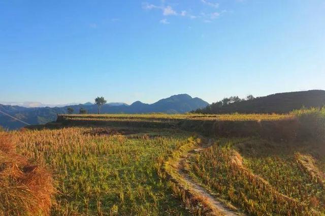 40歲姑娘「失戀後隱居深山」打造個人農莊　「種菜種花自給自足」：一個人活得更精彩