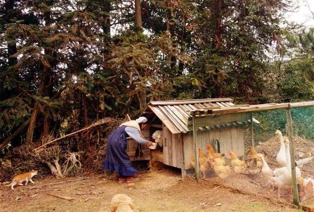 40歲姑娘「失戀後隱居深山」打造個人農莊　「種菜種花自給自足」：一個人活得更精彩