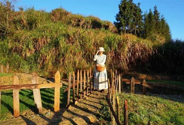 40歲姑娘「失戀後隱居深山」打造個人農莊　「種菜種花自給自足」：一個人活得更精彩