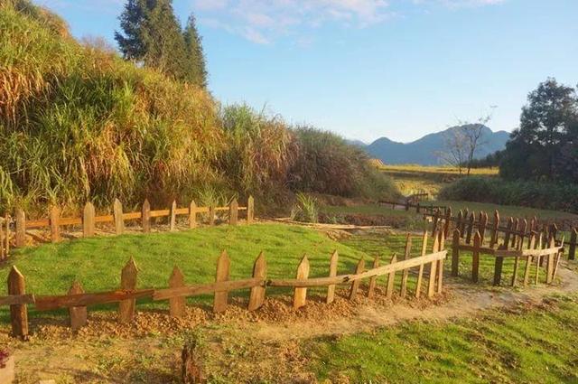 40歲姑娘「失戀後隱居深山」打造個人農莊　「種菜種花自給自足」：一個人活得更精彩