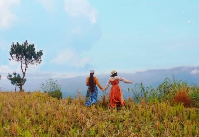 40歲姑娘「失戀後隱居深山」打造個人農莊　「種菜種花自給自足」：一個人活得更精彩