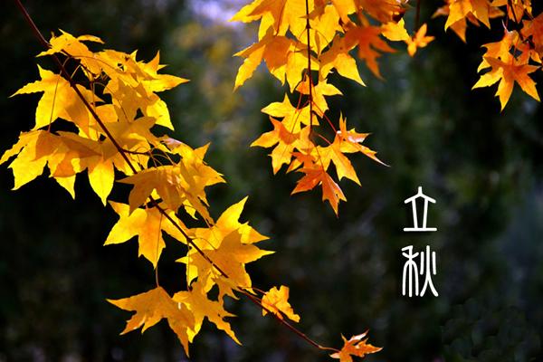 立秋陰氣重！8/7「一定要早起」祭拜許願　「能讓你旺運到年底」真的靈