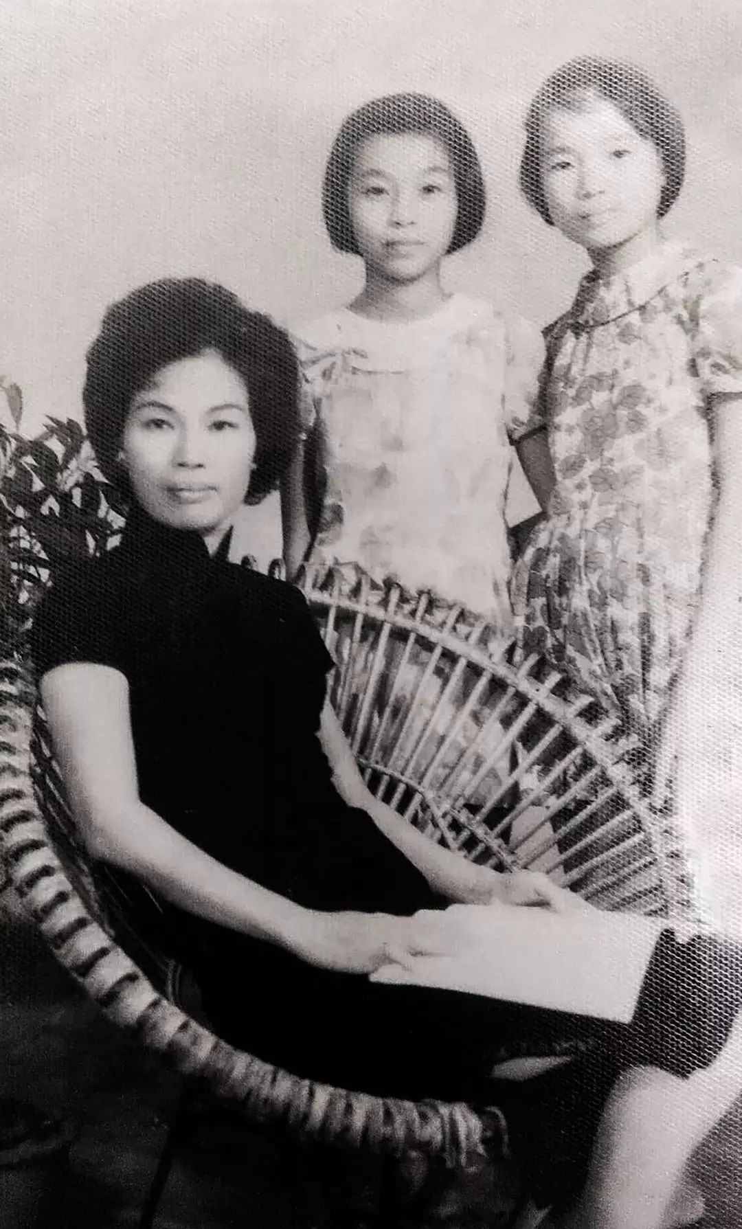 母親失智20年！龍應台揪心「媽媽再也認不出她」滿臉疑惑：妳是誰？　搬回屏東老家「陪母走最後一段」