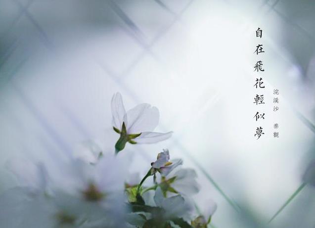 做人，少玩心眼，能被你欺騙的，都是信任你的人