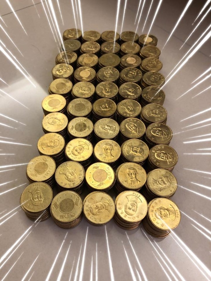 半年積蓄大公開！男子用50元硬幣堆出「金磚陣」自豪晉升土豪 網友卻警告：小心假幣危機