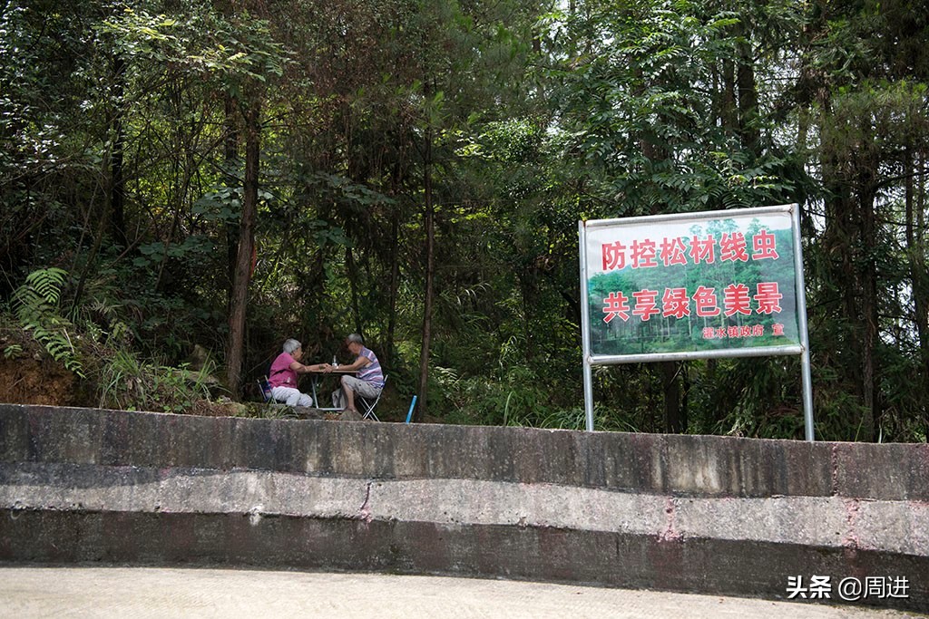 驀然回首！年少同事各自成家「半世紀喪偶後再度重逢」　成半路夫妻「默契絕佳相伴餘生」重組八口之家