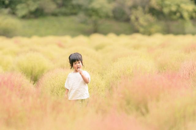 紀錄美好瞬間！攝影師爸「最愛偷拍妻女」爆紅　母女幸福日常「如同唯美電影海報」畫面充滿愛