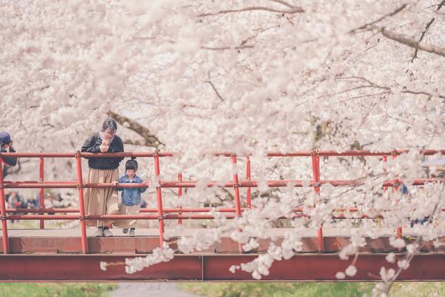 紀錄美好瞬間！攝影師爸「最愛偷拍妻女」爆紅　母女幸福日常「如同唯美電影海報」畫面充滿愛