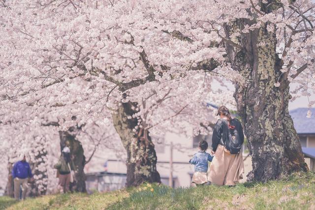 紀錄美好瞬間！攝影師爸「最愛偷拍妻女」爆紅　母女幸福日常「如同唯美電影海報」畫面充滿愛