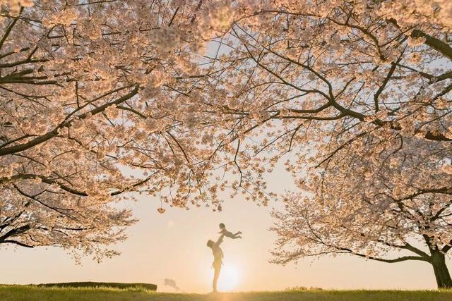 紀錄美好瞬間！攝影師爸「最愛偷拍妻女」爆紅　母女幸福日常「如同唯美電影海報」畫面充滿愛