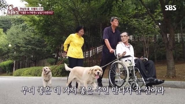 主人時日不多「被判剩2年可活」忍痛送別2愛犬　見最後一面「狗狗的反應」讓他悲慟卻欣慰