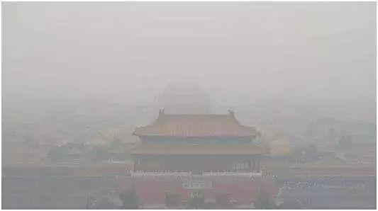 「都市48坪房不住」一家三口跑到郊區 改建「463坪6房新家園」得到比金錢還重要的回饋