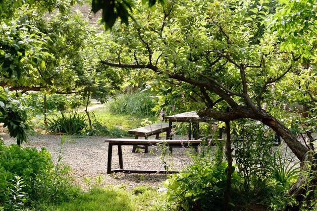 「都市48坪房不住」一家三口跑到郊區 改建「463坪6房新家園」得到比金錢還重要的回饋