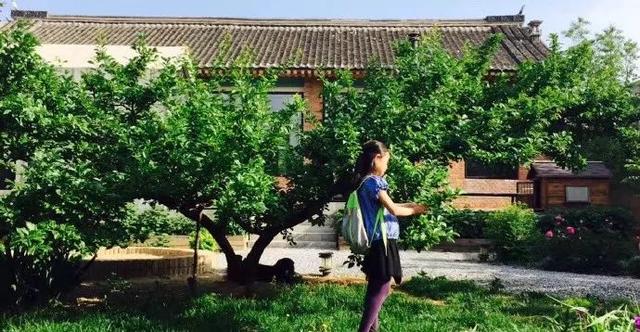 「都市48坪房不住」一家三口跑到郊區 改建「463坪6房新家園」得到比金錢還重要的回饋