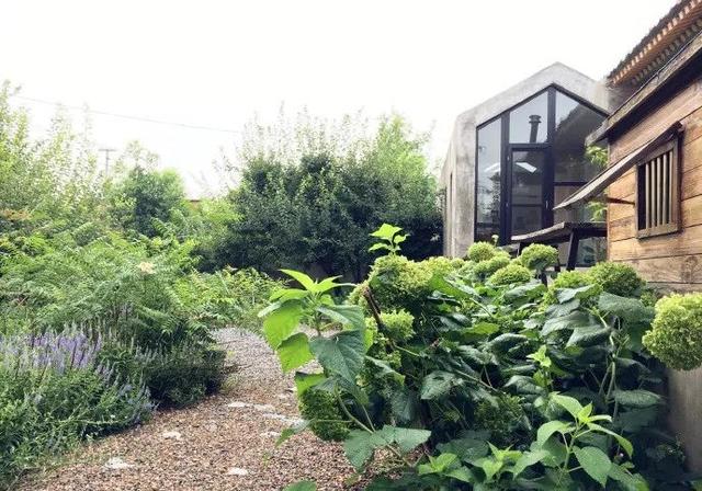 「都市48坪房不住」一家三口跑到郊區 改建「463坪6房新家園」得到比金錢還重要的回饋