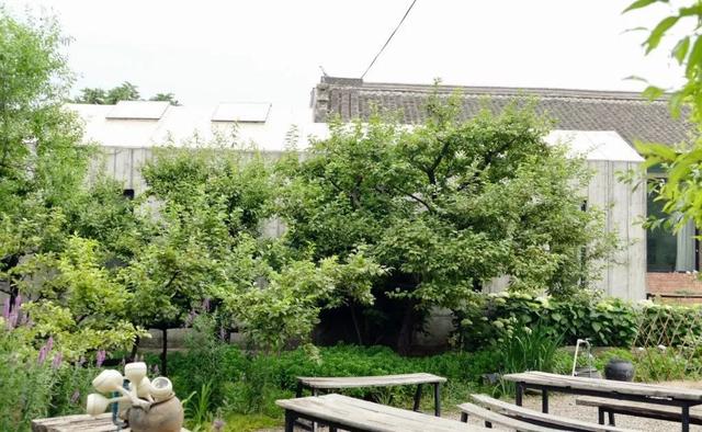 「都市48坪房不住」一家三口跑到郊區 改建「463坪6房新家園」得到比金錢還重要的回饋