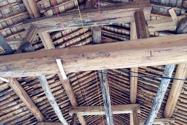 「都市48坪房不住」一家三口跑到郊區 改建「463坪6房新家園」得到比金錢還重要的回饋