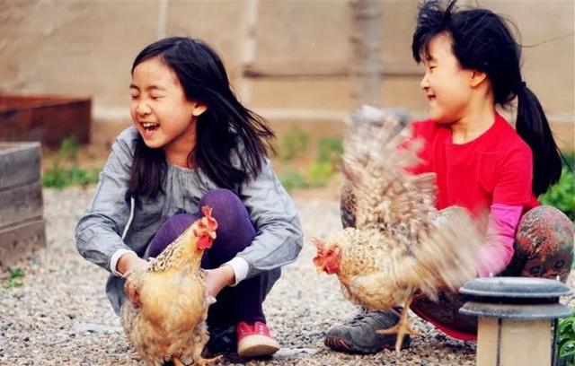 「都市48坪房不住」一家三口跑到郊區 改建「463坪6房新家園」得到比金錢還重要的回饋