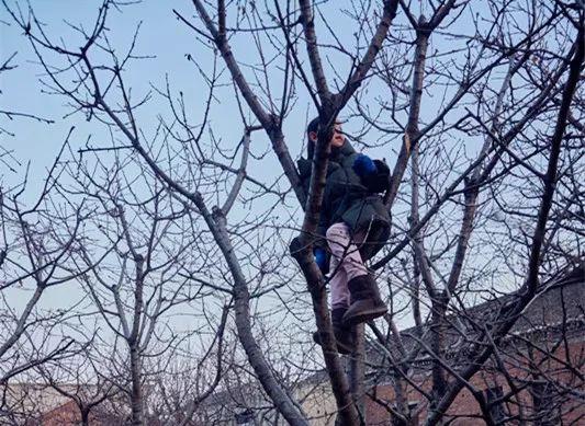 「都市48坪房不住」一家三口跑到郊區 改建「463坪6房新家園」得到比金錢還重要的回饋