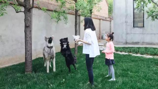 「都市48坪房不住」一家三口跑到郊區 改建「463坪6房新家園」得到比金錢還重要的回饋