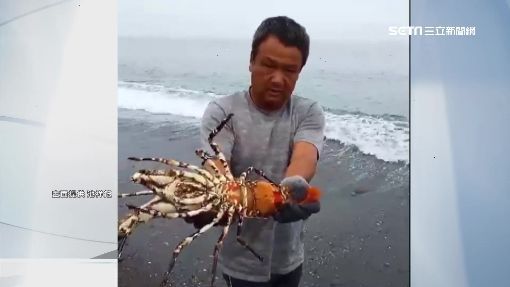 釣到海中巨人！台東漁民捕獲「5台斤錦繡龍蝦」要價不菲　他拿起來仔細觀察後「決定直接放回海裡」