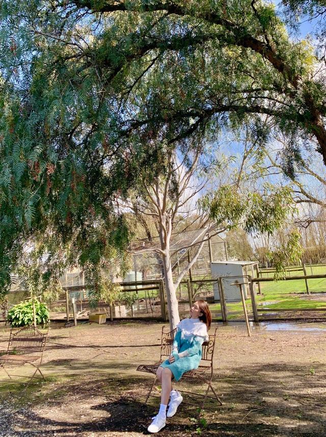 40歲陳喬恩曬墨爾本「度假照」，藍白針織裙清新似少女，不結婚又怎樣！