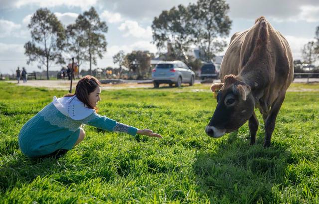 40歲陳喬恩曬墨爾本「度假照」，藍白針織裙清新似少女，不結婚又怎樣！