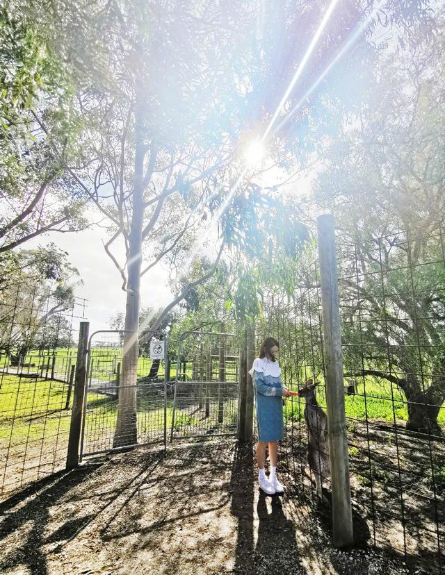 40歲陳喬恩曬墨爾本「度假照」，藍白針織裙清新似少女，不結婚又怎樣！